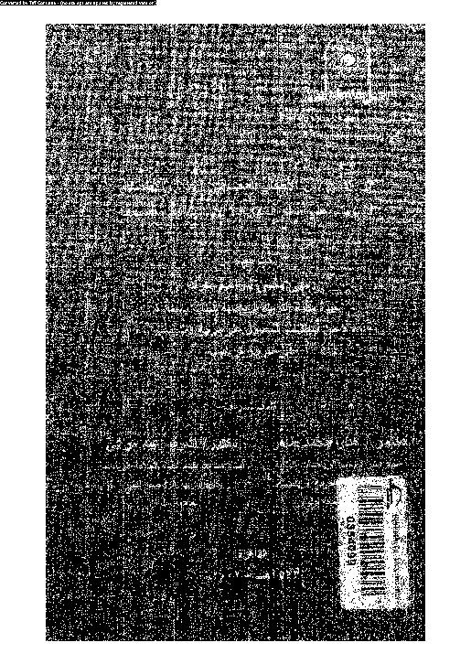 أثر الدمج بين الأطفال المعاقين ذهنياً والأطفال الأسوياء على تعلم المهارات الأساسية في السباحة 