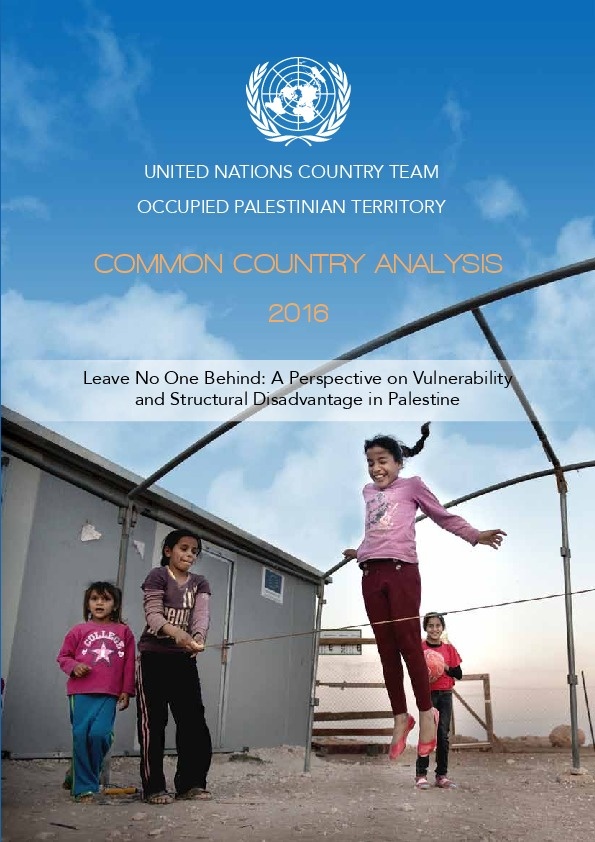 Common Country Analysis – Occupied Palestinian territory 